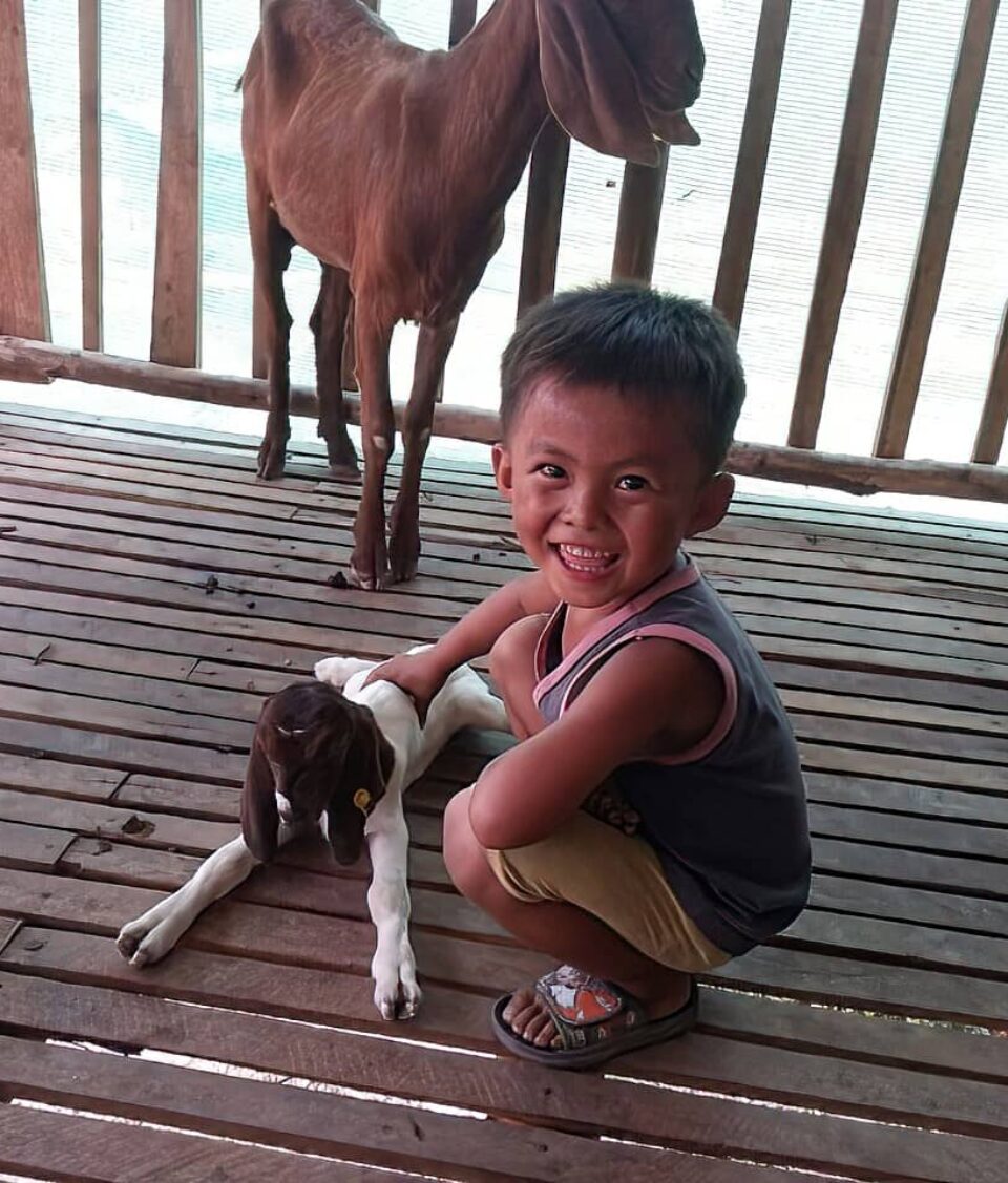 aa young boy is squatting on a deck petting a baby goat, whilst an adult goat looks on